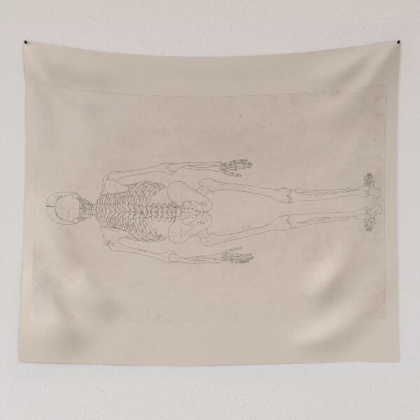 Item preview, Human Skeleton, Posterior View by George Stubbs designed and sold by Amanda1775.