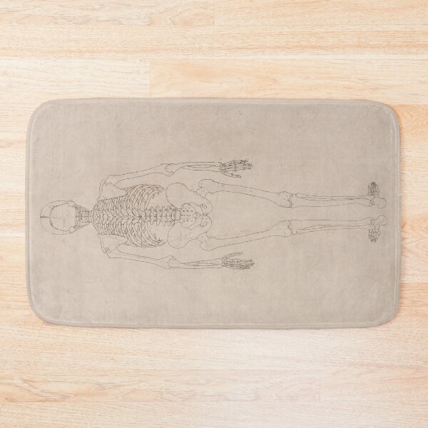 Item preview, Human Skeleton, Posterior View by George Stubbs designed and sold by Amanda1775.