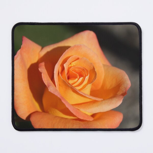 Item preview, Golden orange rose macro photography - Romantic floral bloom designed and sold by Cha-s-lens.