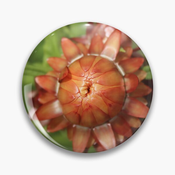 Item preview, Orange strawflower macro - Flower botanical photography designed and sold by Cha-s-lens.