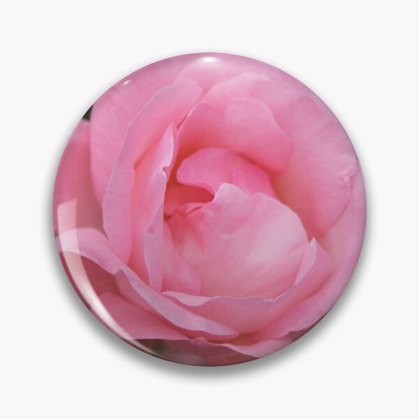 Item preview, Soft pink rose bloom - Romantic botanical flower photography designed and sold by Cha-s-lens.