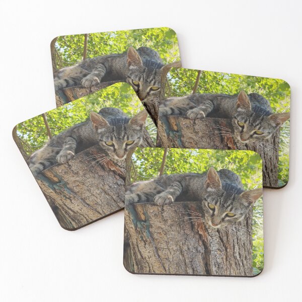 Item preview, Tabby Cat in Garden designed and sold by inspiration3.