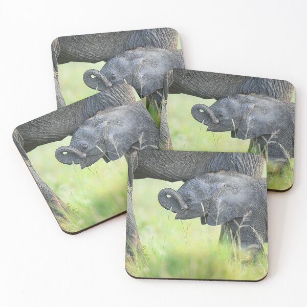Item preview, The Tender Beginning: Elephant Calf Protective Embrace designed and sold by OlaniPictures.