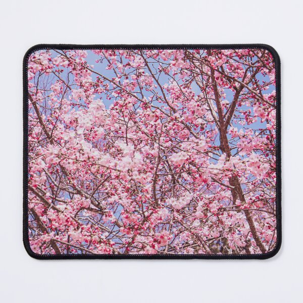 Item preview, Cherry Blossoms Japan – Sakura Fine Art Photography designed and sold by MF-Designkram.