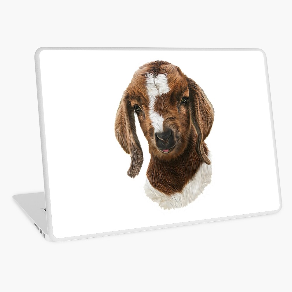 Portrait of a Goat - Boer Goat Baby Nicklaus Laptop Skin