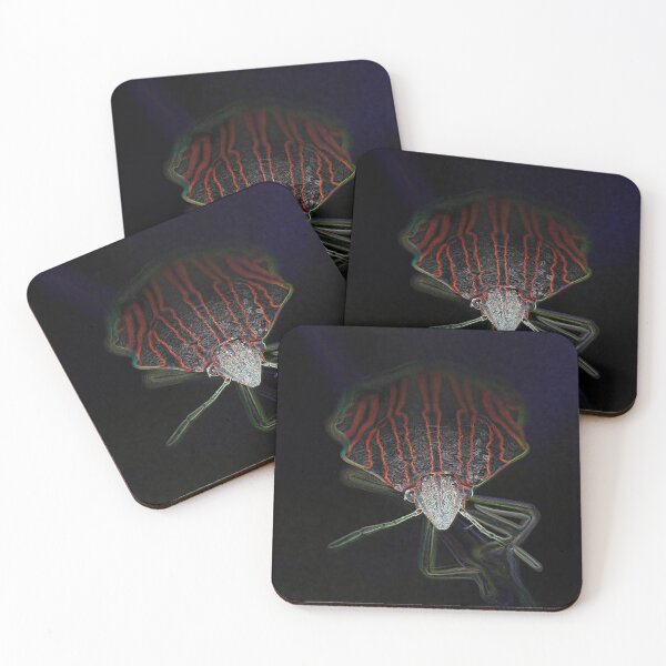Item preview, Neon Striped Shieldbug Front View designed and sold by tonivainio.