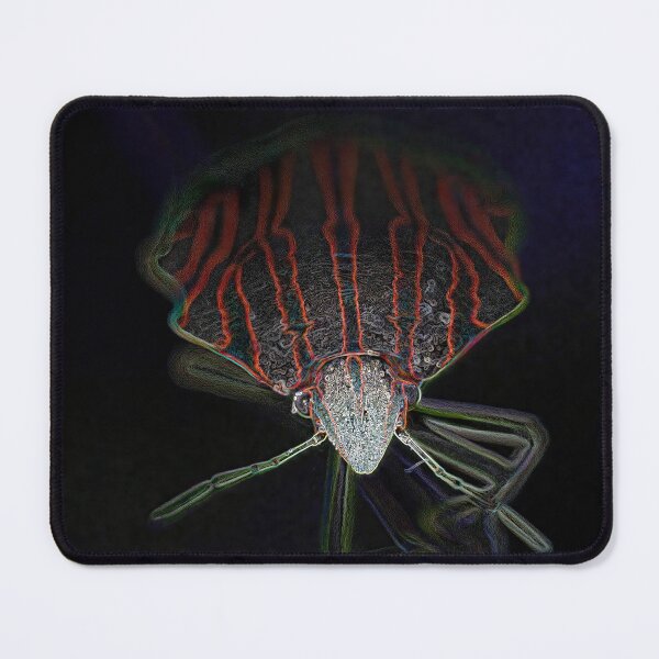 Item preview, Neon Striped Shieldbug Front View designed and sold by tonivainio.