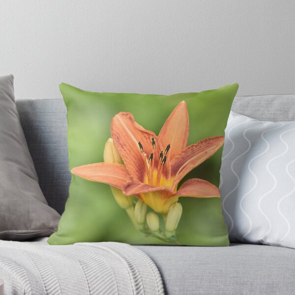 Item preview, Warm Orange Daylily Macro with Soft Green Bokeh designed and sold by TathataPhotos.