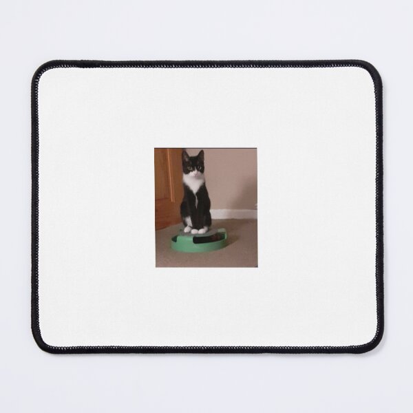 Item preview, Roise sitting on her toy designed and sold by LeesMegamerch.