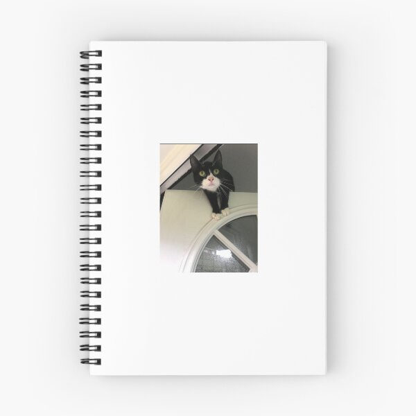 Item preview, Roise on top of a door designed and sold by LeesMegamerch.