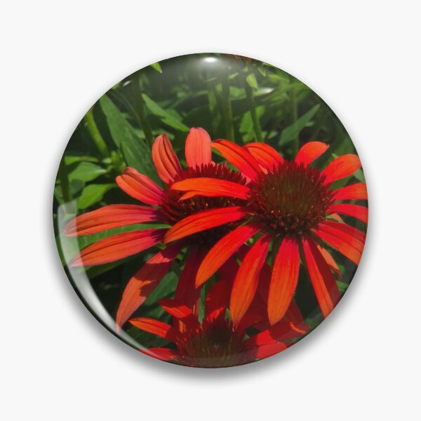 Item preview, Orange Coneflowers designed and sold by Rosebughive Photography.