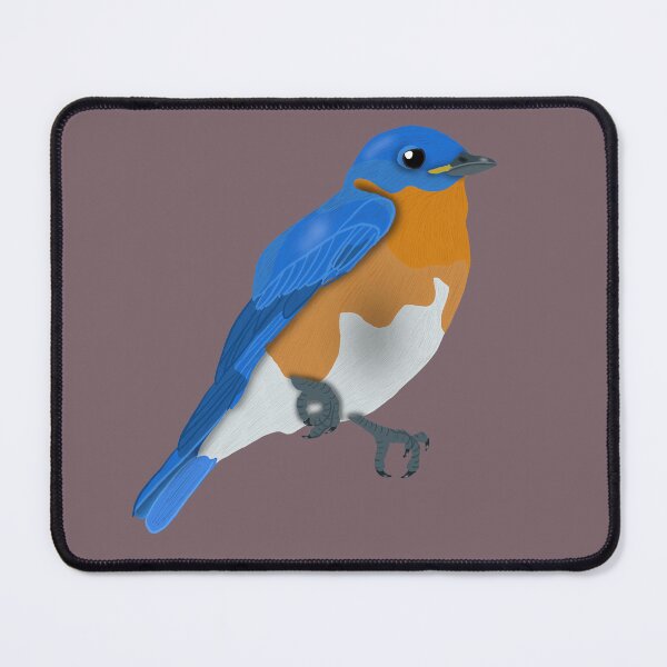 Item preview, Eastern Bluebird designed and sold by BDBirds.