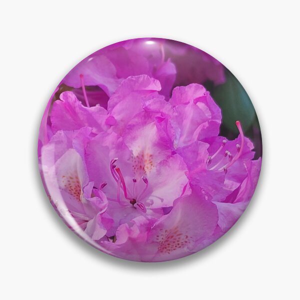 Item preview, Rhododendron Blooming designed and sold by Rosebughive Photography.