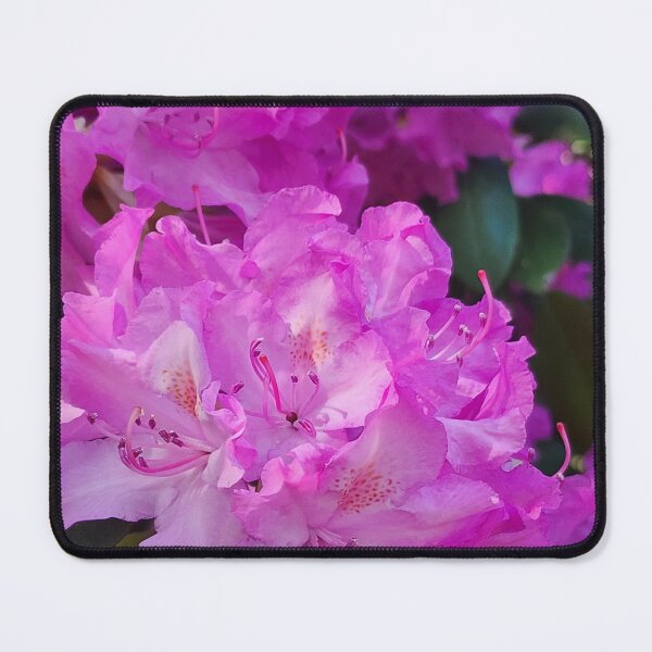 Item preview, Rhododendron Blooming designed and sold by Rosebughive Photography.
