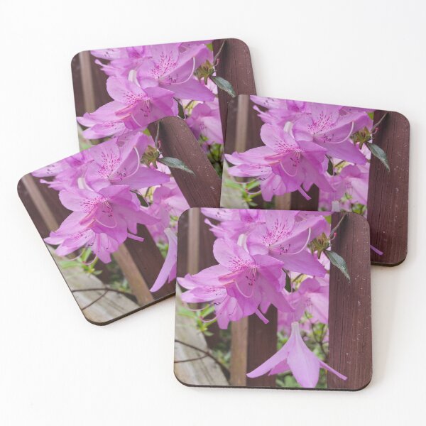 Item preview, Azalea Peeking Around the Corner designed and sold by Rosebughive Photography.