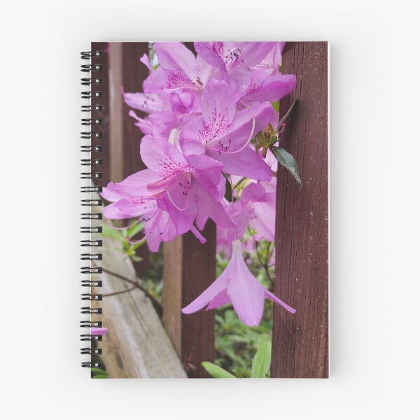 Item preview, Azalea Peeking Around the Corner designed and sold by Rosebughive Photography.