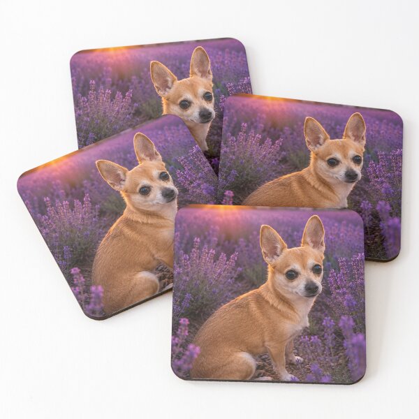 Item preview, Chihuahua in a lavender field at sunset designed and sold by Animal Passion Designs.