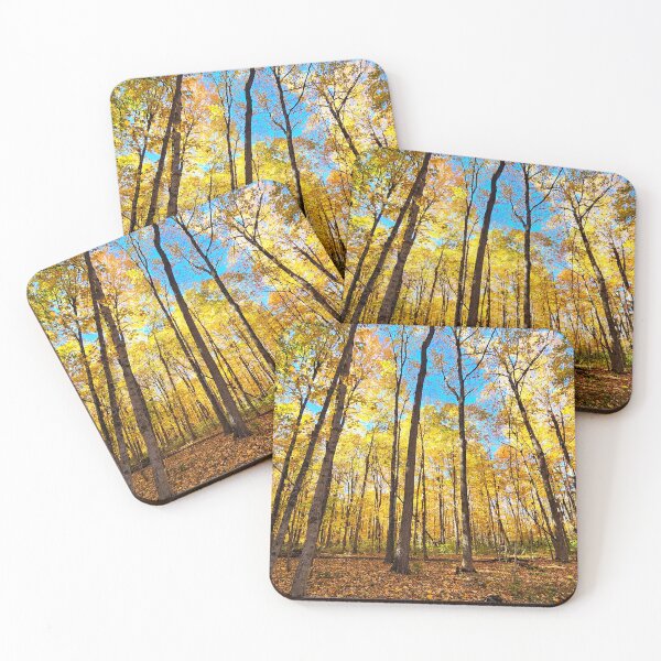 Item preview, Golden Fall Hues designed and sold by Rosebughive Photography.