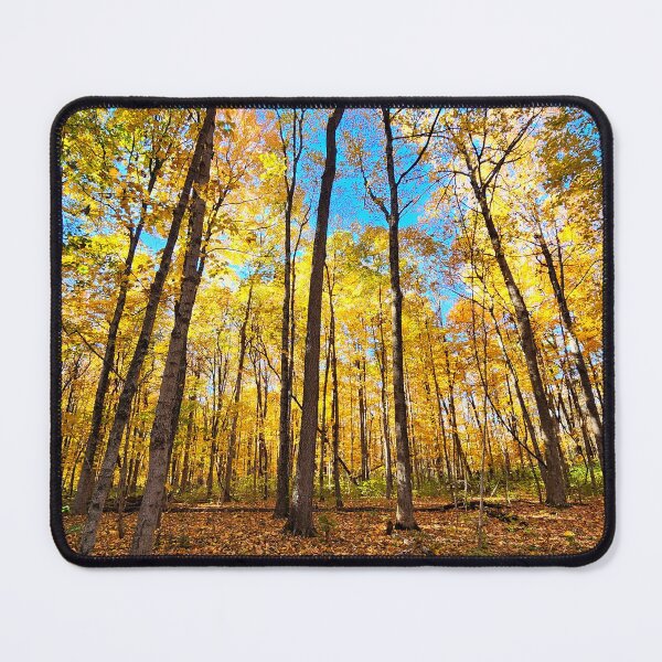Item preview, Golden Fall Hues designed and sold by Rosebughive Photography.