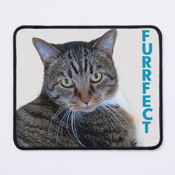 Item preview, Furrfect Calming Tabby Cat Chonk Funny Pet Pun designed and sold by JurateArt-DK.