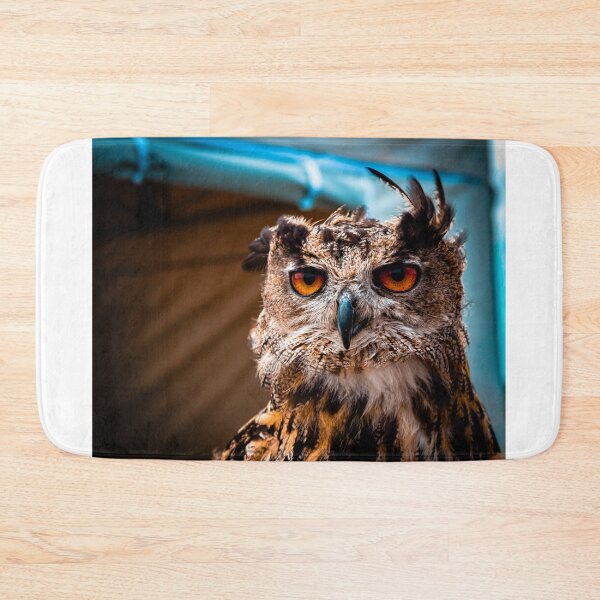 Item preview, Owl stare off  designed and sold by FramedByShane.