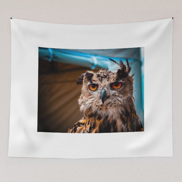 Item preview, Owl stare off  designed and sold by FramedByShane.