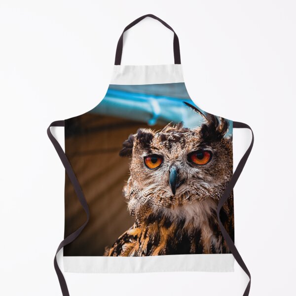 Item preview, Owl stare off designed and sold by FramedByShane.