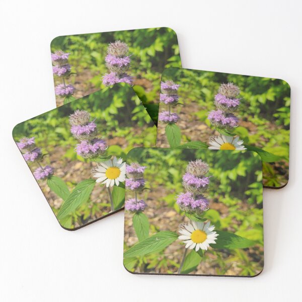 Item preview, Native flowers to the Midwest  designed and sold by Lunar Bound Imagery .