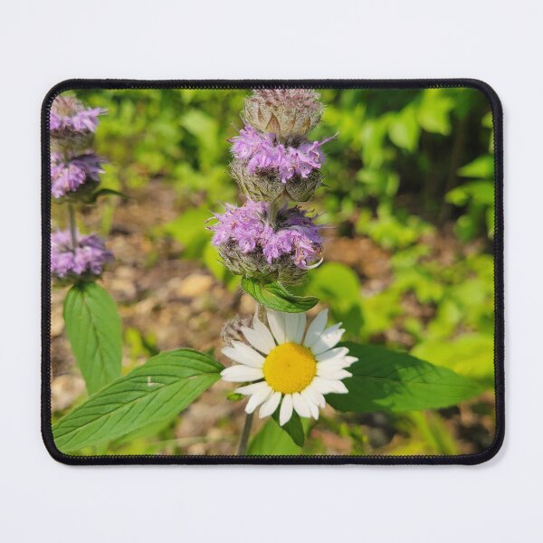 Item preview, Native flowers to the Midwest  designed and sold by Lunar Bound Imagery .