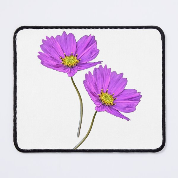 Item preview, Garden Two Purple Flowers Cosmos designed and sold by StylishDecor.