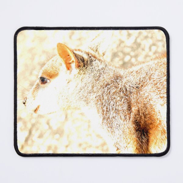 Item preview, Sweet Eyes designed and sold by Melville.Collective.