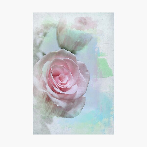 Item preview, Watercolour Rose designed and sold by Lorraine Creagh.