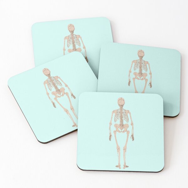 Item preview, Human Skeleton, Posterior View by George Stubbs (background removed) designed and sold by Amanda1775.
