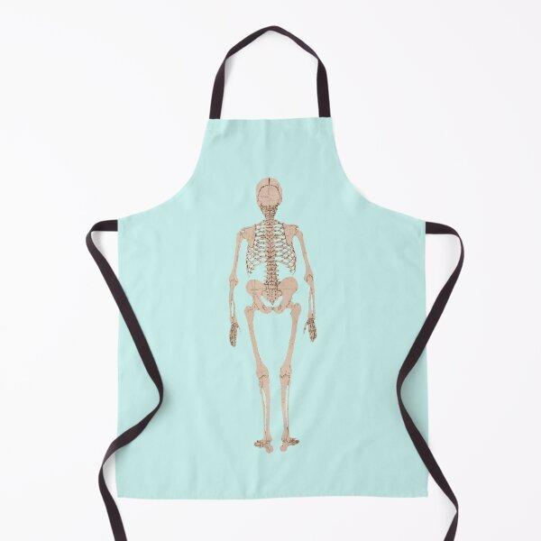 Item preview, Human Skeleton, Posterior View by George Stubbs (background removed) designed and sold by Amanda1775.
