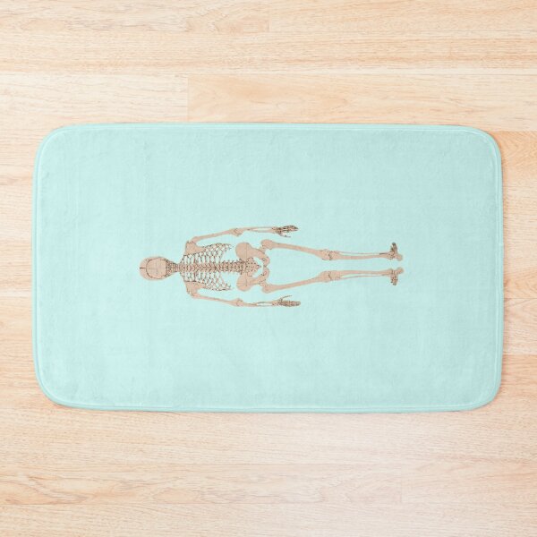 Item preview, Human Skeleton, Posterior View by George Stubbs (background removed) designed and sold by Amanda1775.