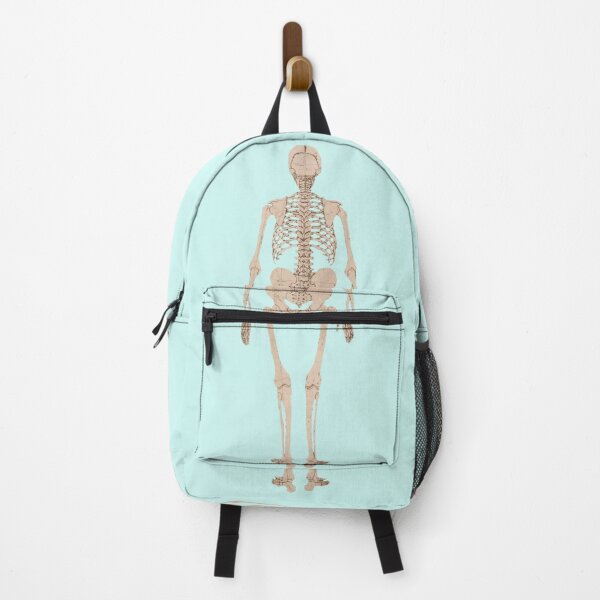 Item preview, Human Skeleton, Posterior View by George Stubbs (background removed) designed and sold by Amanda1775.