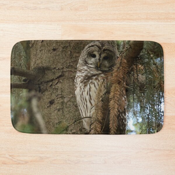 Item preview, Barred Owl in Forest Tree designed and sold by locustgirl.