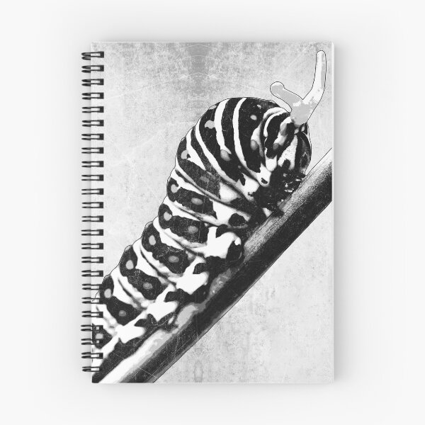 Item preview, Black Swallowtail Caterpillar Dark Natural History designed and sold by Ghoul Enterprises.