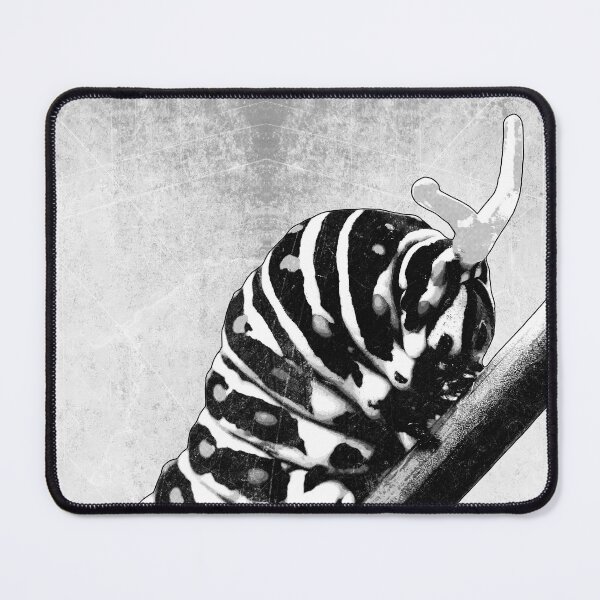 Item preview, Black Swallowtail Caterpillar Dark Natural History designed and sold by Ghoul Enterprises.