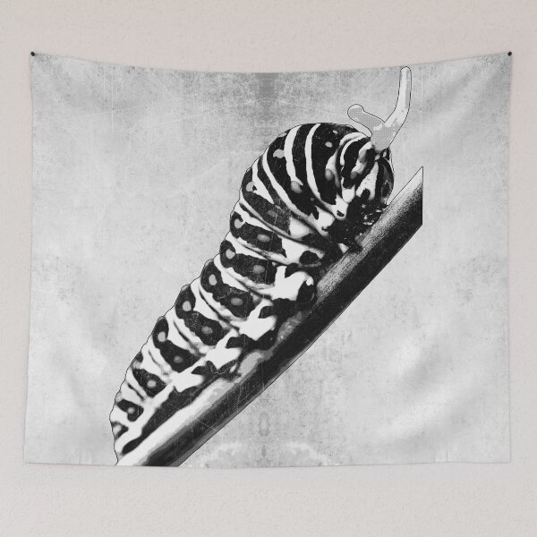 Item preview, Black Swallowtail Caterpillar Dark Natural History designed and sold by Ghoul Enterprises.