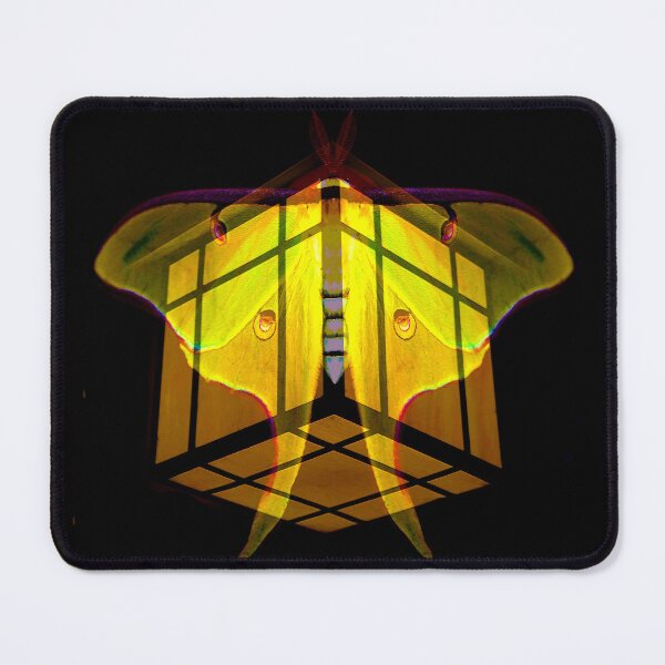Item preview, Light attraction designed and sold by Dlt1981.
