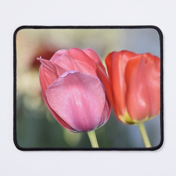 Item preview, Pink Red Tulip Pair in Natural Garden Light designed and sold by TathataPhotos.