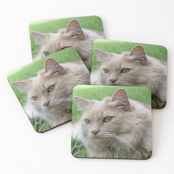 Item preview, Fluffy Cream Ginger Cat on Green Grass designed and sold by 27Tammy27.