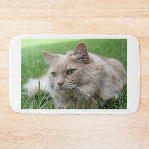 Item preview, Fluffy Cream Ginger Cat on Green Grass designed and sold by 27Tammy27.