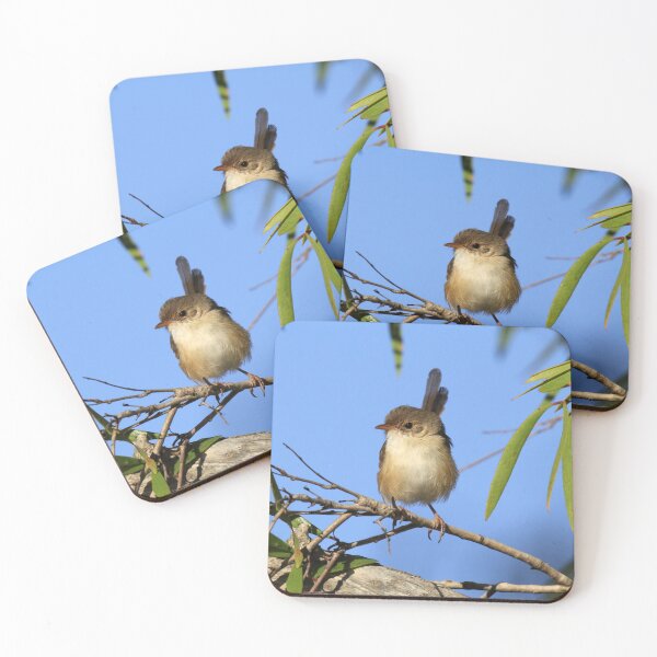 Item preview, Charming Female Red-backed Fairywren on a Branch designed and sold by 27Tammy27.