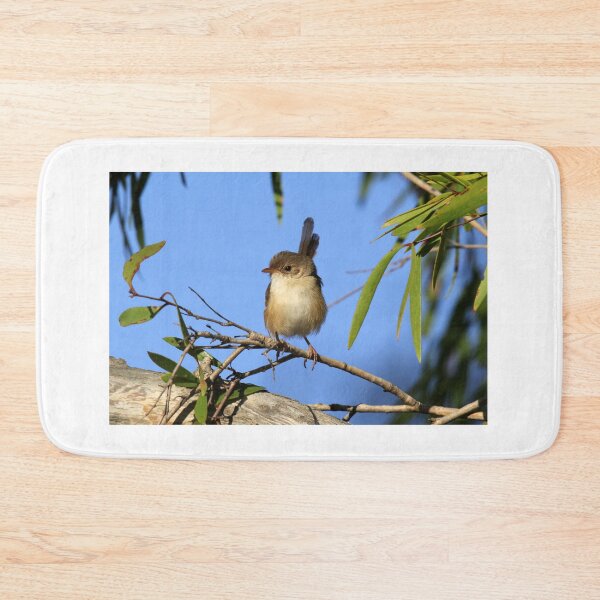 Item preview, Charming Female Red-backed Fairywren on a Branch designed and sold by 27Tammy27.