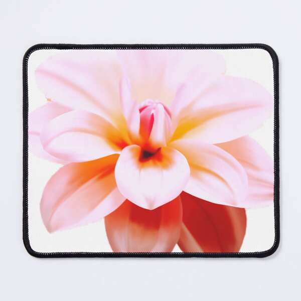 Item preview, Minimalist dahlia flower / Botanical line art/ japandi floral print designed and sold by ModAccesorios.