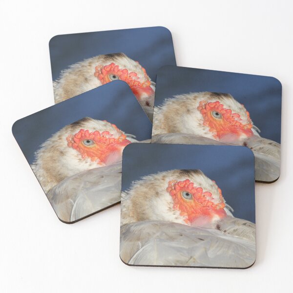 Item preview, Close Up Muscovy Duck Portrait designed and sold by 27Tammy27.
