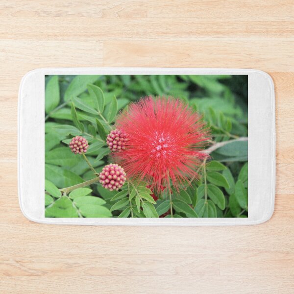Item preview, Vibrant Red Powder Puff Flower Close Up designed and sold by 27Tammy27.