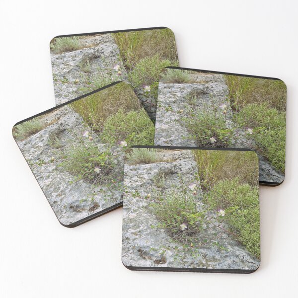 Item preview, spring bloom, Capparis designed and sold by Lunar-Dragon.